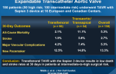 Multicenter Evaluation of a Next-Generation Balloon-Expandable Transcatheter Aortic Valve