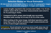 Interoperator and Intraoperator (In)Accuracy of Stent Selection Based on Visual Estimation