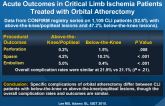 Impact of Lesion Location on Procedural and Acute Outcomes in Critical Limb Ischemia Patients Treated with Orbital Atherectomy