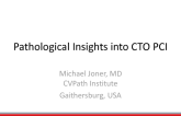 Pathological Insights into CTO-PCI