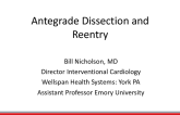 Antegrade Dissection and Reentry