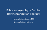 Echocardiography in Cardiac Resynchronization Therapy