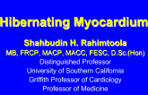 Hibernating Myocardium