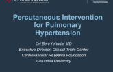 Percutaneous Intervention for Pulmonary Hypertension