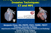 Strengths and Limitations of Non-Invasive Techniques:CT and MPI
