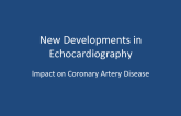 New Developments in Echocardiography