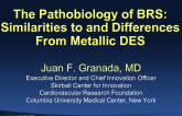 The Pathobiology of BRS: Similarities to and Differences From Metallic DES
