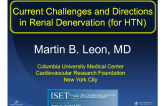 Current Challenge and Directions in Renal Denervation