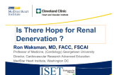 Is There Hope for Renal Denervation?
