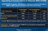 One-Year Clinical Outcomes of the STENTYS Self-Apposing Coronary Stent in Patients With STEMI
