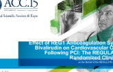 Effect of REG1 Anticoagulation System vs_ Bivalirudin on Cardiovascular Outcomes Following PCI: The REGULATE-PCI Randomized Clinical Trial