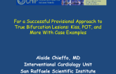 For a Successful Provisional Approach to True Bifurcation Lesions: Kiss, POT, and More With Case Examples