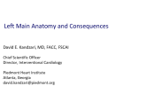 Left Main Anatomy and Consequences