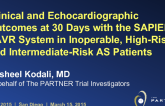 Clinical and Echocardiographic Outcomes at 30 Days with the SAPIEN 3 TAVR System in Inoperable, High-Risk and Intermediate-Risk AS Patients