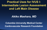 Practical Uses for IVUS I: Intermediate Lesion Assessment and Left Main Disease