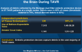 Incidence and Predictors of Debris Embolizing to the Brain During TAVR