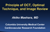 Principle of OCT, Optimal Technique, and Image Review
