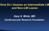 How Do I Assess an Intermediate LM and Non-LM Lesion