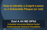 How Do I Identify a Culprit Lesion or a Vulnerable Plaque?