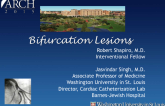 Bifurcation Lesions