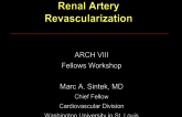 Renal Artery Revascularization