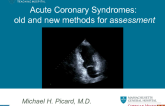 Acute Coronary Syndromes: old and new methods for assessment