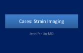 Cases:  Strain Imaging
