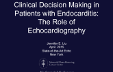 Clinical Decision Making in Patients with Endocarditis: The Role of Echocardiography