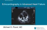 Echocardiography in Advanced Heart Failure: