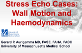 Stress Echo Cases: Wall Motion and Haemodynamics