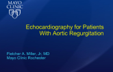 Echocardiography for Patients With Aortic Regurgitation
