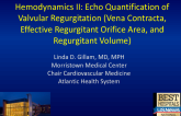 Hemodynamics II: Echo Quantification of Valvular Regurgitation (Vena Contracta, Effective Regurgitant Orifice Area, and Regurgitant Volume)