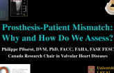 Prosthesis-Patient Mismatch: Why and How Do We Assess?
