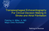 Transesophageal Echocardiography For Clinical Decision Making In Stroke and Atrial Fibrillation