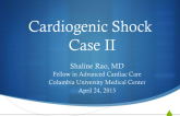 Cardiogenic Shock - Case 2