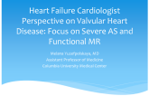 Heart Failure Cardiologist Perspective on Valvular Heart Disease: Focus on Severe AS and Functional MR