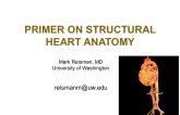 Bioskills Session: Primer on Cardiac Anatomy and Structure (Taped)
