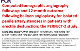 Computed tomographic angiography follow-up and 12-month outcome following balloon angioplasty for isolated penile artery stenoses in patients with erectile dysfunction: the PERFECT-2 study