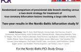 Two-year results in the Nordic-Baltic bifurcation study IV