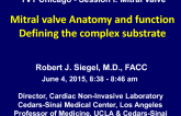 Normal Mitral Valve Anatomy and Function: Defining the Complex Substrate