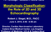Morphologic Classification: The Role of 2-D and 3-D Echocardiography