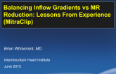 Balancing Inflow Gradients vs MR Reduction: Lessons From Experience (MitraClip)