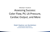 Assessing MitraClip Success: Color Flow, Pulmonary Vein Flow, LA Pressure, Cardiac Output, and More