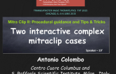 Two Interactive Complex MitraClip Cases