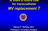 Is There a Future Role for Transcatheter Mitral Valve Replacement? A Surgeons Perspective