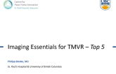 Mitral Imaging Essentials for TMVR