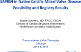 Sapien in Native Mitral Stenosis: Feasibility and Registry Results
