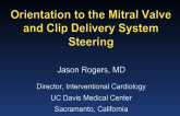 Orientation to the Mitral Valve and Clip Delivery System Steering