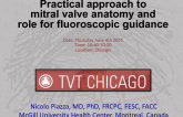 Practical Approach to Mitral Valve Anatomy and Role for Fluoroscopic Guidance
