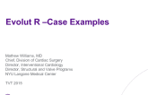 Case Examples and Discussion